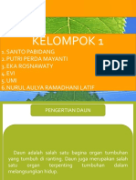 Mortum Kelompok Satu