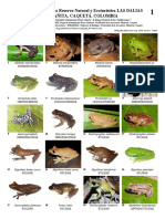 907 Colombia Anfibios y Reptiles Las Dalias PDF