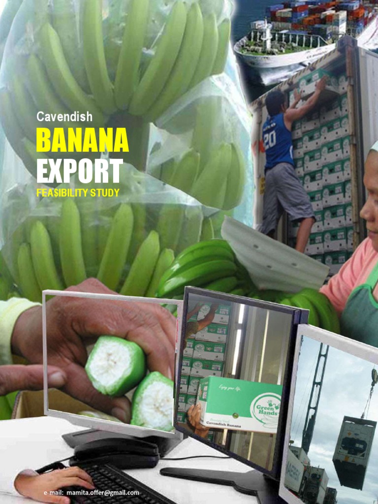 Assessing the Feasibility of Establishing a Cavendish Banana Export