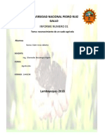 informe-1-reconocimiento-de-un-suelo-agricola.docx