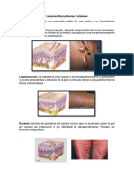 lesion secundaria.docx