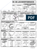 Clasi_invertebrados.pdf