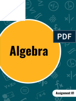 Algebra Practice Assignment01