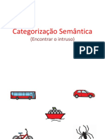 categorização - intruso.pdf