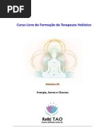 Energia Aura e Chacras