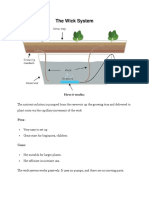 Types of Hydrophonic