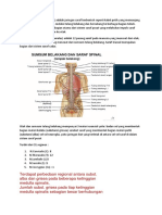 Medula Spinalis WORD