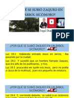 ¿Por Qué Se Subió Zaqueo en Un Árbol Sicómoro?