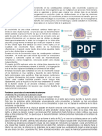 Crecimiento bacteriano y división celular