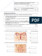 Eval_cono_3.pdf