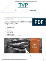 Ultrasonographic Differences Between Dogs and Cats