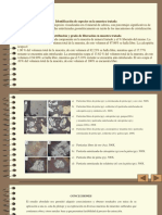 Diapositivas de Metalurgia (1)