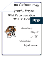 261914113-Geography-Project.docx