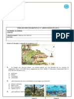 Prueba de Diagnóstico 5°