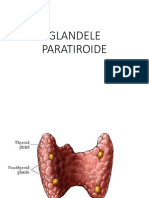 12 Glandele Paratiroide 2019