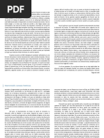 SENSINI.docx