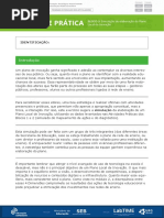 atividade pratica de História 