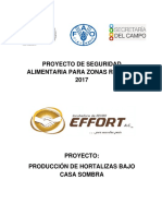 AGRICULTURA PROTEGIDA.docx