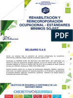 Rehabilitación y Reincorporación Laboral Estandares Minimos PDF