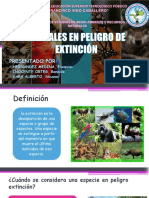 Animales en Peligro de Extinción