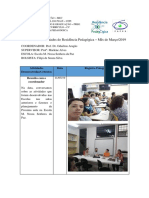 Plano de aula schaffer.docx