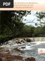 06 - Parest Rio Negro setor Sul Vol_I_ii