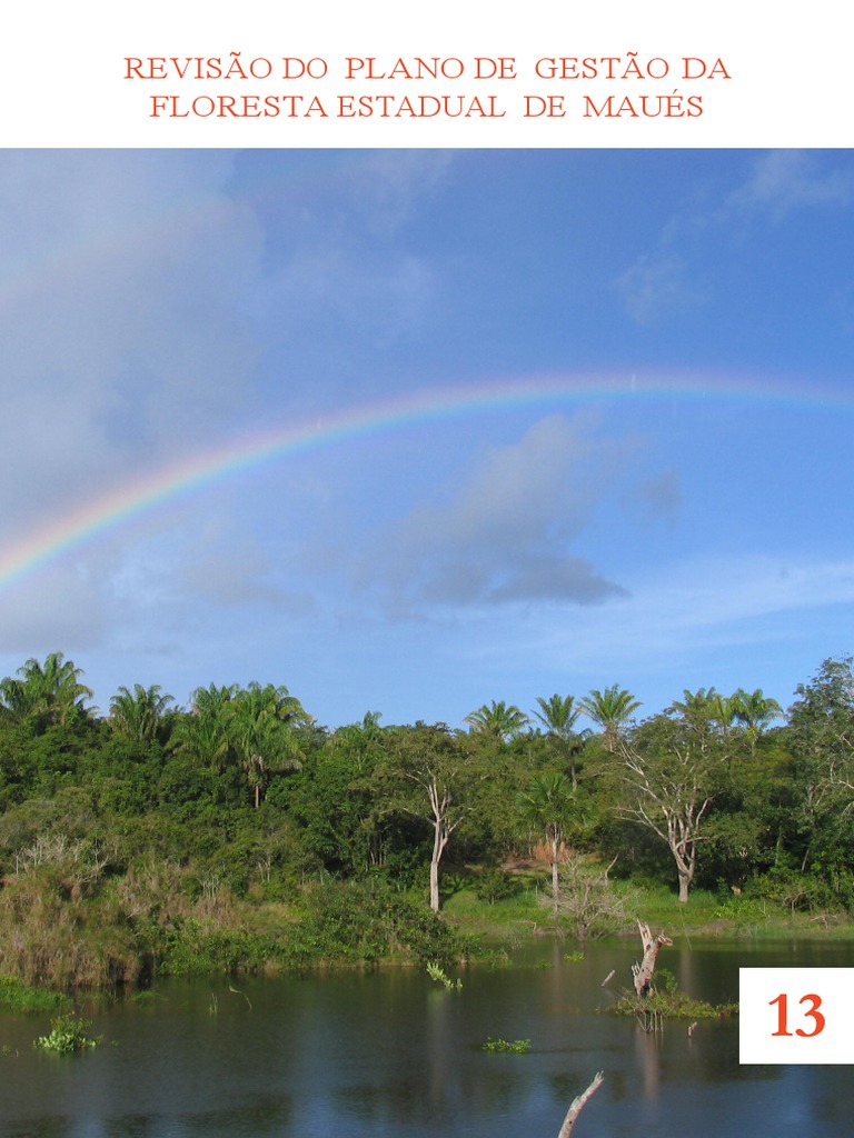 Floresta De Bambu Fluxo De água Folha De Bambu Pingos De Chuva Paisagem  Natural Fundo Na Chuva, Floresta De Bambu Na Chuva, Cenário Natural,  Floresta De Bambu Imagem de plano de fundo