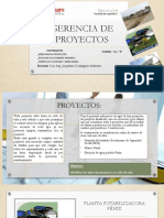 Gerencia de Proyectos Exposicion Mejia-pilligua-Verduga