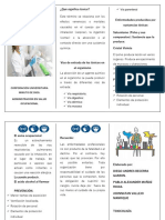 Plegable Estrategia de Prevenciòn de Enfermedades de Origen Tòxico PDF