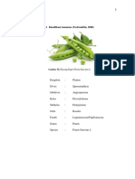 II.1.1.1 Klasifikasi Tanaman (Fachruddin, 2000) : Gambar II.1 Kacang Kapri (Pisum Sativum L)