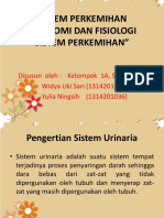 Sistem Perkemihan