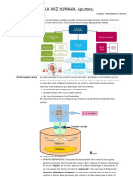 LA VOZ HUMANA. Tipos de voces Música .pdf