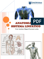 Anatomia Do Sistema Linfático