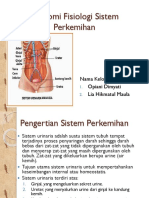 Ppt Anfis Sistem Perkemihan