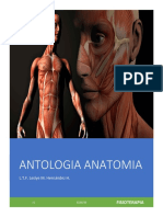 Antologia Anatomia 3