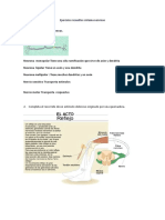 Ejercicios Resueltos Nervioso