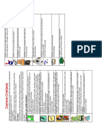 Carrera Cristiana - Instrucciones y Preguntas