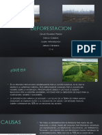 deforestacion.pptx