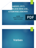 Varises, DVT, BD, Atherosklerosis (Desti-Shintya)