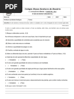 363672856-AVALIACAO-DE-CIENCIAS-4º-ANO-DO-ENSINO-FUNDAMENTAL-1-II-CICLO-2º-BIMESTRE-2017.docx