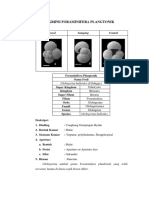 Album Foraminifera Plangtonik