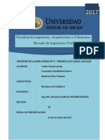 Perdida de carga LOCALES.docx