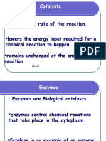 What are Enzymes - Examville Study Guides