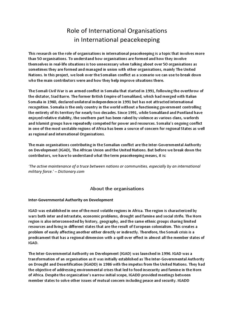 Role of International Organisations | PDF | Somalia | African Union