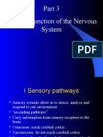 Nervous System Part Three Sensory Function