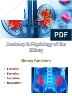 Anatomy & Physiology of The Kidney
