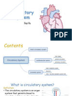 The Circulatory System 