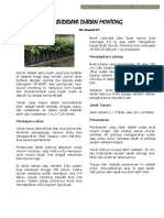 LEAFLET Mengendalikan Tikus