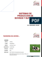 Sistemas de Producción de Bovinos y Búfalos