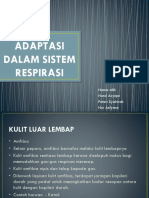 Adaptasi Dalam Sistem Respirasi